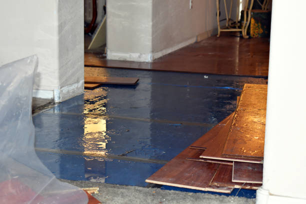Professional Basement Flood Cleanup technician working in Pope, MS